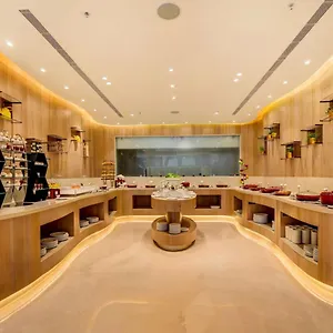 Oasis Grand Near Igi Delhi Airport Hotel New Delhi